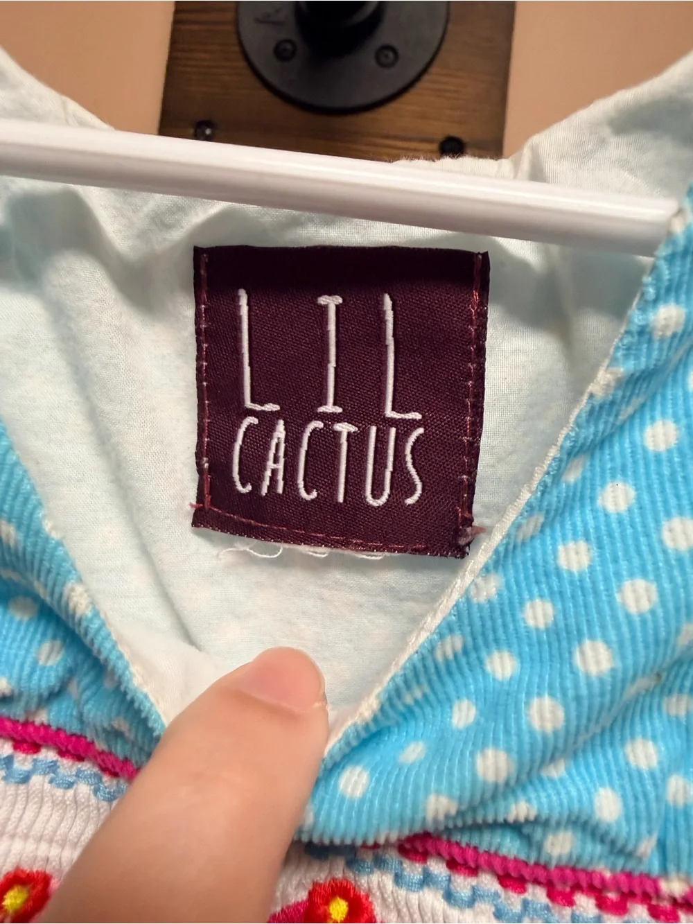 Cactus Blue Polka Dot Girls' Dress with Pink Trim and Bird Embroidery